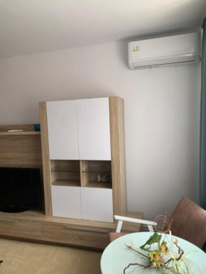 Cazare Medias, apartament modern